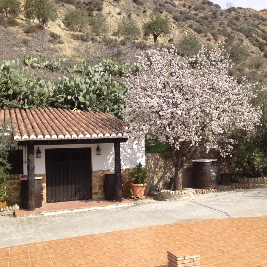 Apartmán Cortijo Pilongo Monachil Exteriér fotografie